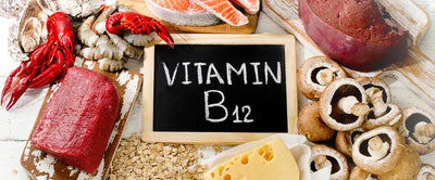 Vitamin B12 – Ein Schlüsselvitamin in der pflanzlichen Ernährung